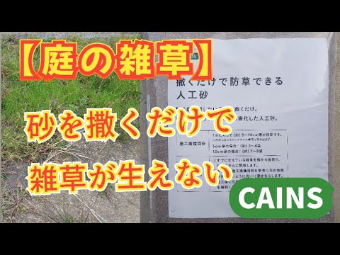 砂は草の成長を妨げますか? 芝生の上にどのような砂をどのように適用するか