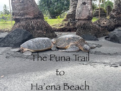 Puna Trail to Ha'ena Beach  (Shipman Beach) in Hilo, HI
