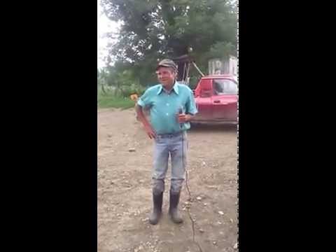 Dorel de la Grindeni