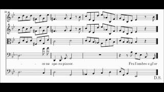 Fra l&#39;ombre e gl&#39;orrori (G.F. Händel - Acis, Galatea e Polifemo) Score Animation