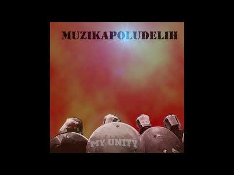 Muzika poludelih - Newer again