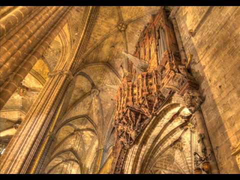 Antonio Salieri: Organ Concerto - Allegro ma non molto (1.)