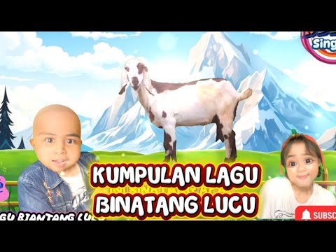 COLLECTION OF FUNNY ANIMAL SONGS