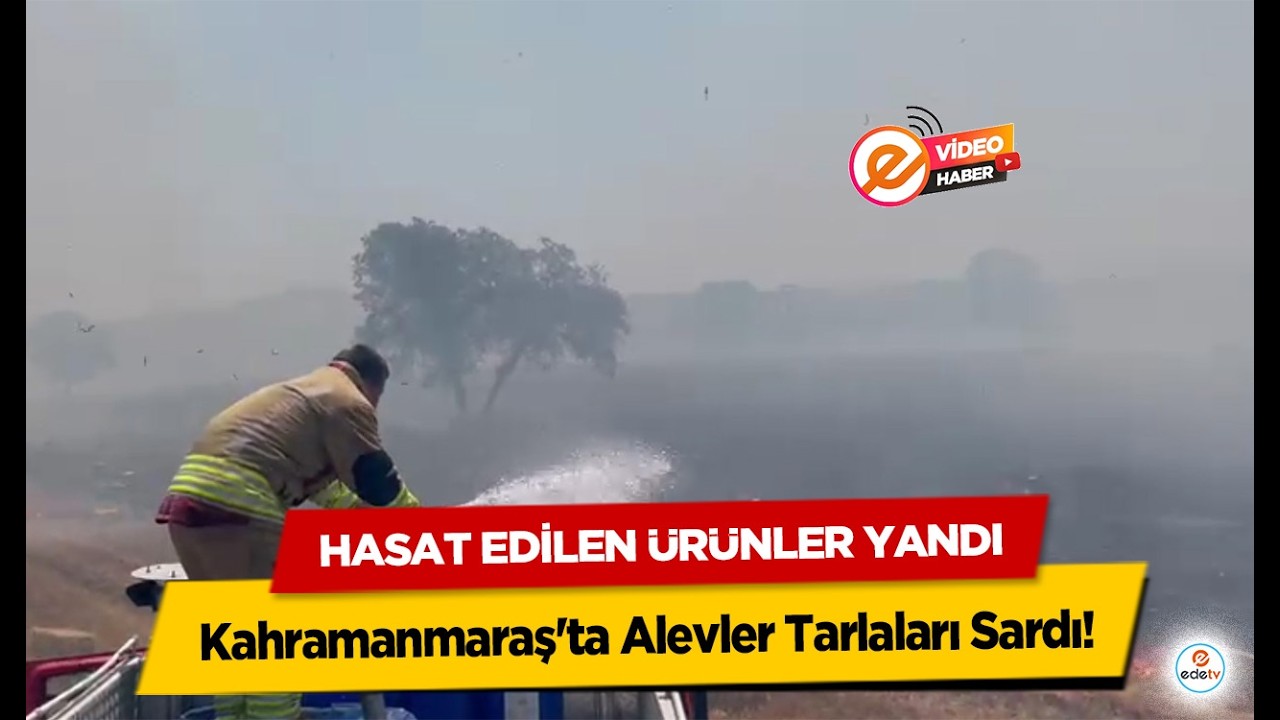 Kahramanmaraş'ta Alevler Tarlaları Sardı! Hasat Edilen Ürünler Yandı