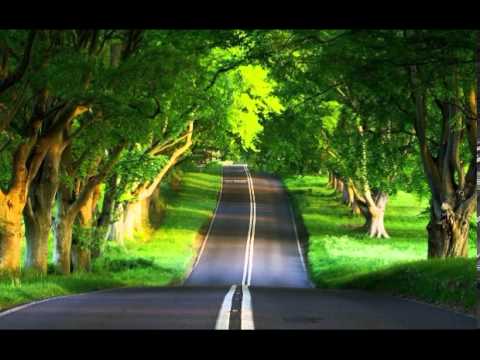 Sienkor - Złap mnie za dłoń