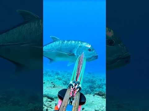 衝撃の海の生物の捕獲シーン