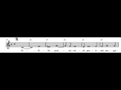 Amicus Meus ALTUS Vídeo didáctico