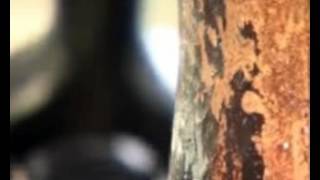 ARVE HENRIKSEN  &  SKIBLADNER  (Steam engine)