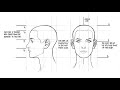 How To Draw The Female Head And Face Part 1