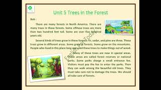 Unit 5 Trees in the Forest