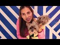 Qué hacer si mi cachorro llora en las noches - Tips by Natalia Ospina