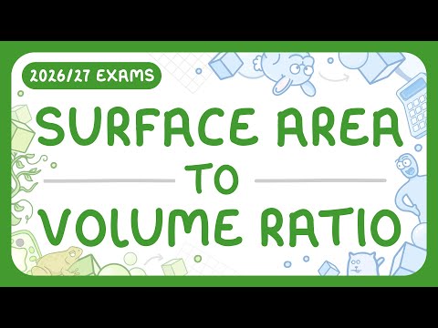 GCSE Biology - Surface Area to Volume Ratio (2026/27 exams)