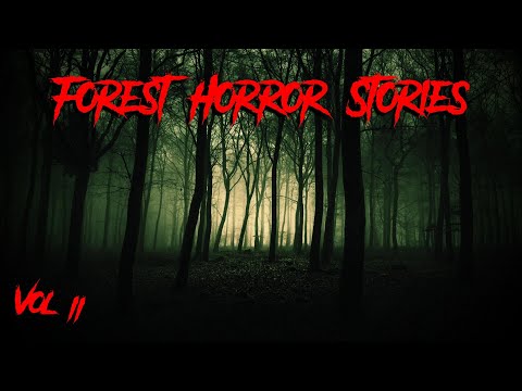 (3) Creepy FOREST Horror Stories - Part 2 [Hunted in the Woods & MORE!]