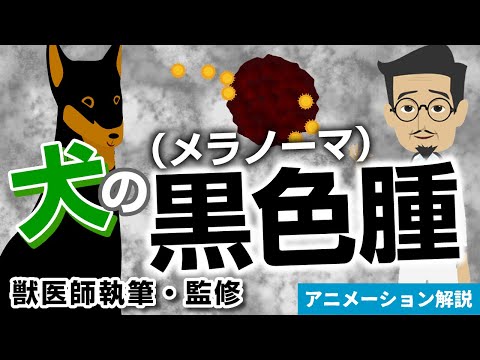 犬の皮膚がん:症状と治療法