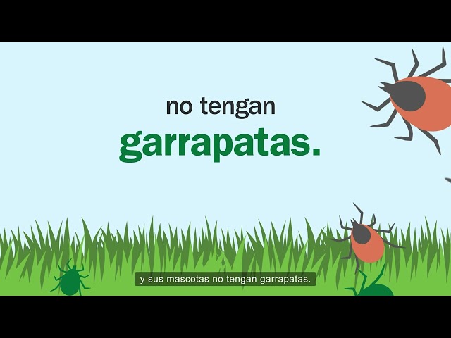 Vídeo relacionado con Camiseta antimosquitos Fight the Bite - Repelente de enfermedades de Lyme Camiseta