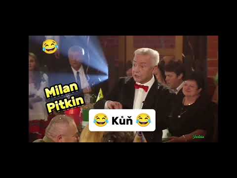Milan Pitkin - Kůň ????????
