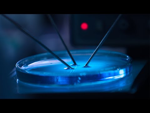 Антиматерия - Официальный русский трейлер (2021)