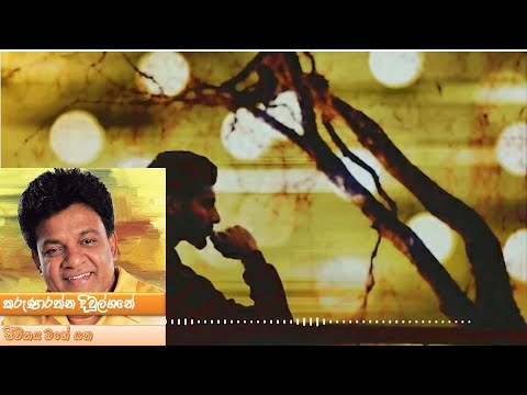 Jiwithaya Ohe Yana - Karunarathne Divulgane (ජීවිතය ඔහේ යන - කරුණාරත්න දිවුල්ගනේ)