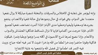 خطبة في فضل غرس النخل للشيخ العلامة السعدي image