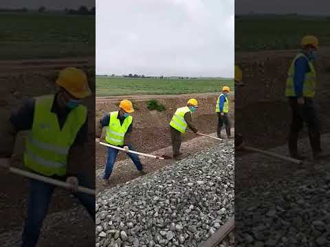 Kineski radnici u Staroj Pazovi 30.05.2020