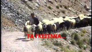 ΓΑΡΔΙΚΙΩΤΕΣ ΤΣΕΛΙΓΚΑΔΕΣ