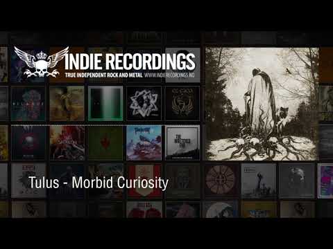 download lagu mp3 mp4 Tulus Morbid Curiosity, download mp3 Tulus Morbid Curiosity free downloadn, video klip Tulus Morbid Curiosity