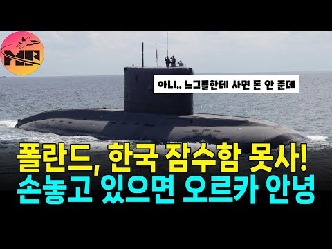 폴란드, 대한민국과 함께 오르카 프로그램 진행 못한다