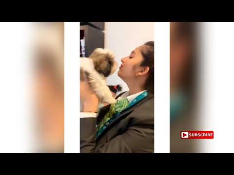 Niveditha Gowda cute moments with her puppy Dollar_Chanvi