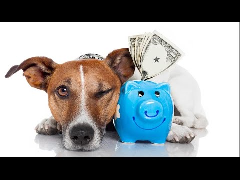 Can I deduct my dog on my taxes?