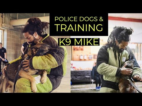 , title : 'HOW TO PICK A POLICE DOG, MARKER TRAINING & BITEWORK | K9 Mike'