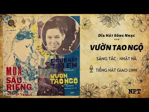 Thể hiện bởi Giao Linh (trước 75)