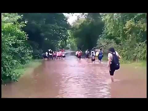 SAN LUIS TALPA BAJO EL AGUA EN LA PAZ OESTE 