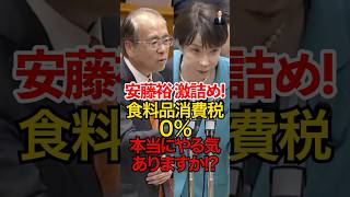 参政党 安藤裕が国民目線で消費税を冷静•激熱の答弁炸裂!