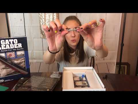 Gimpys Gal Guesses Gato