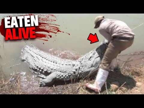 7 Most DISTURBING Times People Were EATEN ALIVE While FISHING!