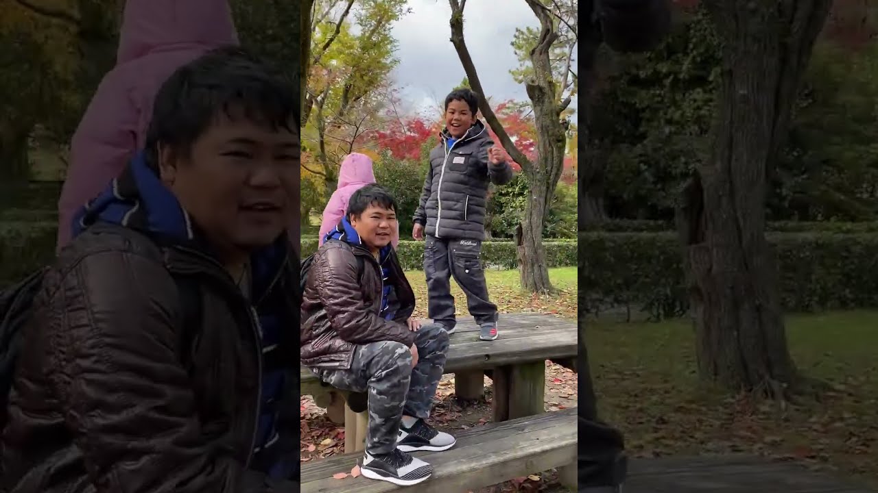 Autumn in Kyoto and Osaka #kyoto #osaka #foliage #japan 