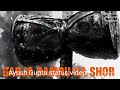 Mahadev Aghori WhatsApp Status Hindu Ready For Fight