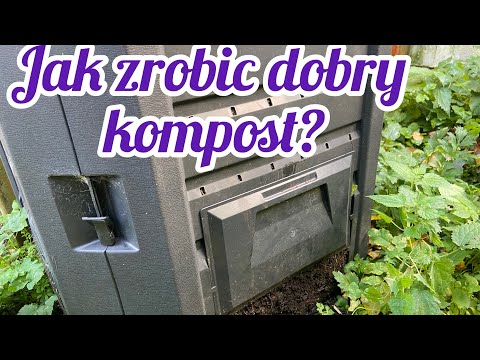 What can be composted - we debunk myths about grass, bones and leaves - what should not be thrown...