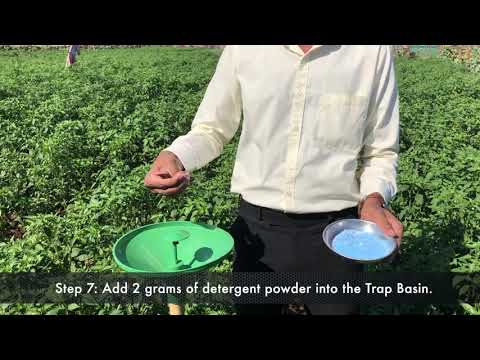 WOTA  T TRAP with SSB Lure