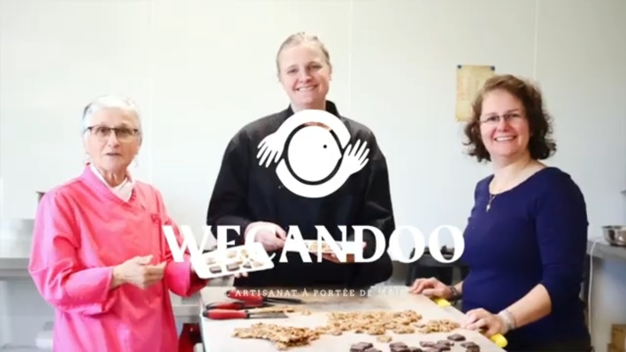 Initiez-vous à l'apiculture - Video