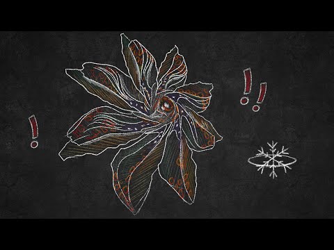 Cold Orbit Quick Guide : How to initiate orbit with a Basilisk