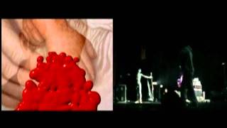 Coil (Bologna 2002) [08]. AYOR