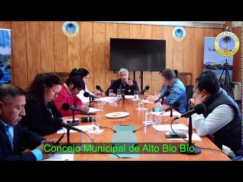 Concejo Municipal Alto Bío Bío.