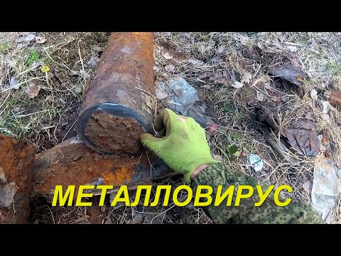Копаю металл, пока все копари на карантине. ОП металлокоп.
