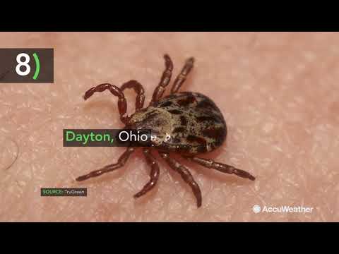 米国のトップ 10 ティック都市