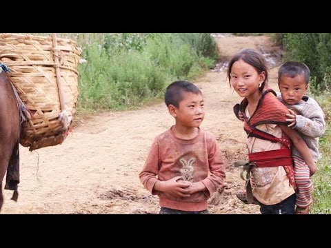 中国・四川省南部の中華料理をディープに食べに行く！｜めったに見られない中国 (Going DEEP for Chinese Food in Southern Sichuan, China | RARELY Seen China!)