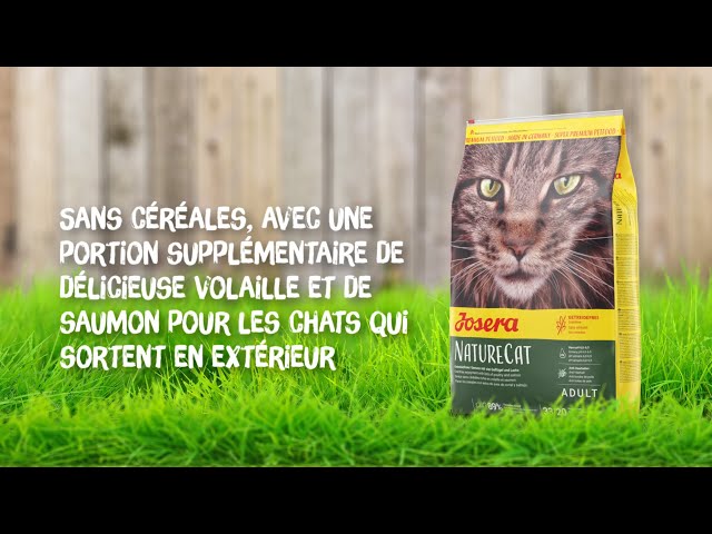 جوسيرا نيشور كات طعام جاف للقطط بالسالمون و الدجاج 2 كغ