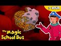 The Immune System Full Episodes Science For Kids The Magic School Bus
