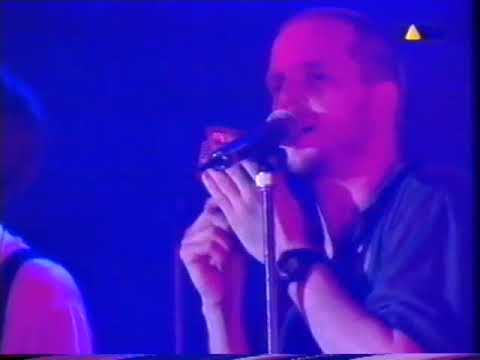 Die Fantastischen Vier & DisJam, Lauschgift Tour 1995