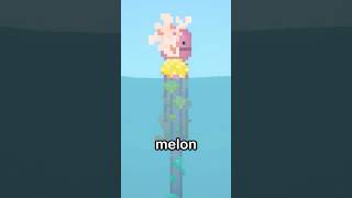 This Mod Inspired The New Melon Playground Update